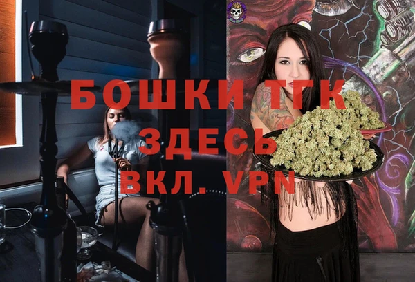 эйфоретик Богданович