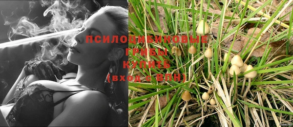 a pvp Бугульма