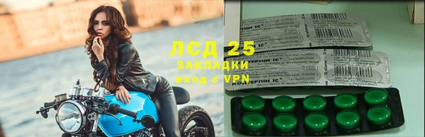 эйфоретик Богданович