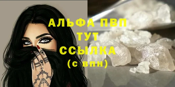 дмт Бородино
