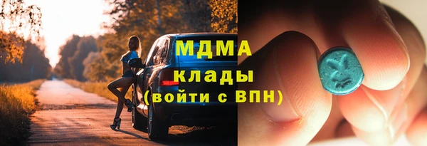 дмт Бородино