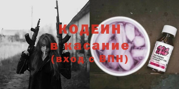 дмт Бородино