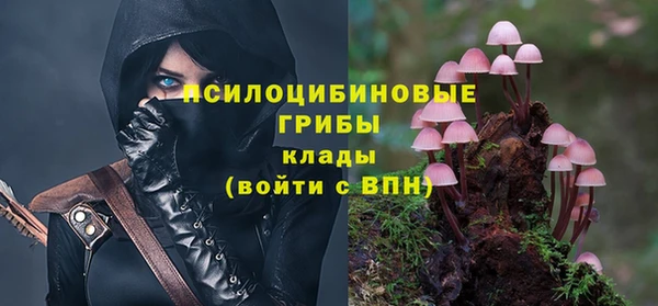 кокс Богородицк
